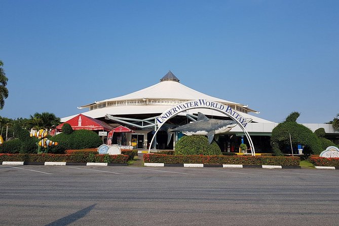 Pattaya Underwater World - Discover Ocean Treasures - Visitor Reviews and Ratings
