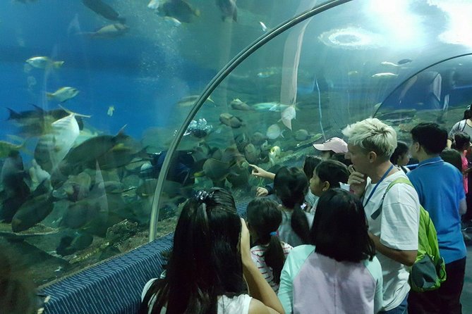 Pattaya Underwater World - Discover Ocean Treasures - Getting to Pattaya Underwater World