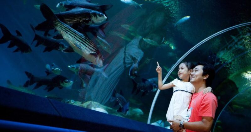 Pattaya: Underwater World Pattaya Aquarium Admission Ticket - Booking and Availability