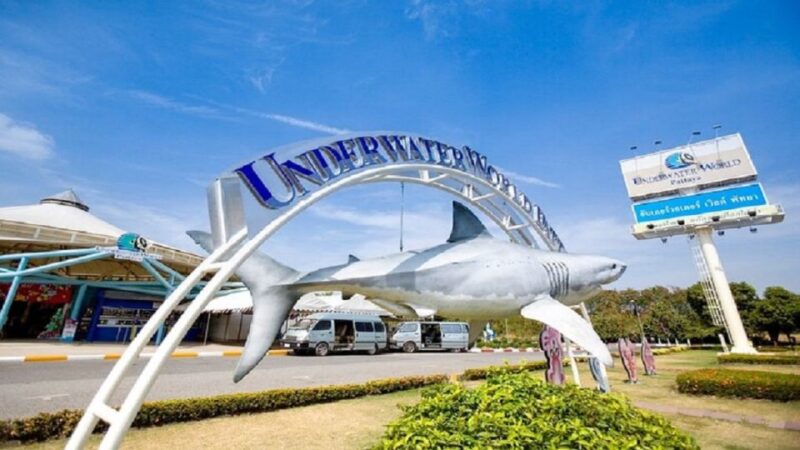 Pattaya: Underwater World Pattaya Aquarium Admission Ticket - Visitor Requirements
