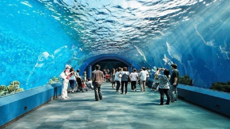 Pattaya: Underwater World Pattaya Aquarium Admission Ticket - Customer Feedback and Ratings