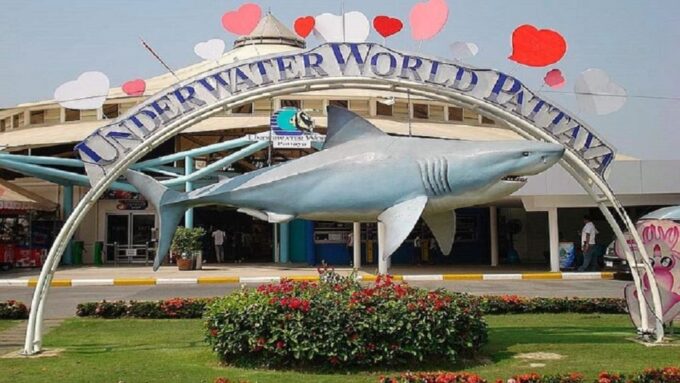 Pattaya: Underwater World Pattaya Aquarium Admission Ticket - Interactive Touch Pool Zone