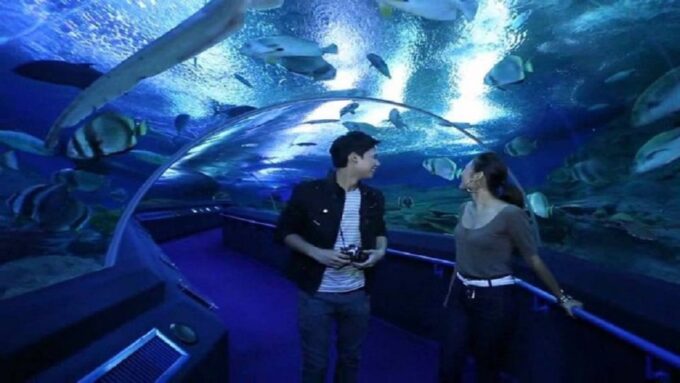 Pattaya: Underwater World Pattaya Aquarium Admission Ticket - Transportation and Hotel Inclusion