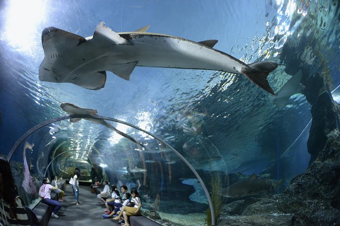 Pattaya Underwater World Tickets With Optional Hotel Pickup - Cancellation Policy