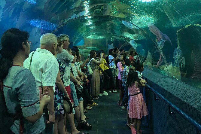 Pattaya Underwater World Tickets With Optional Hotel Pickup - Hotel Transfers