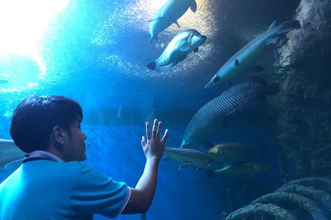 Pattaya Underwater World Tickets With Optional Hotel Pickup - Accessibility