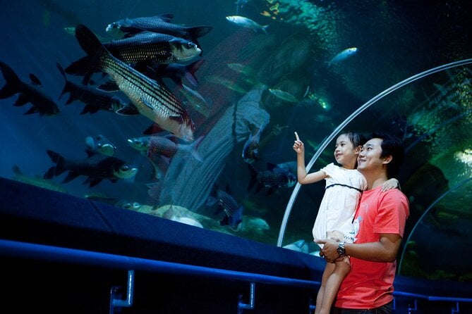 Pattaya Underwater World Tickets With Optional Hotel Pickup - Visitor Experience