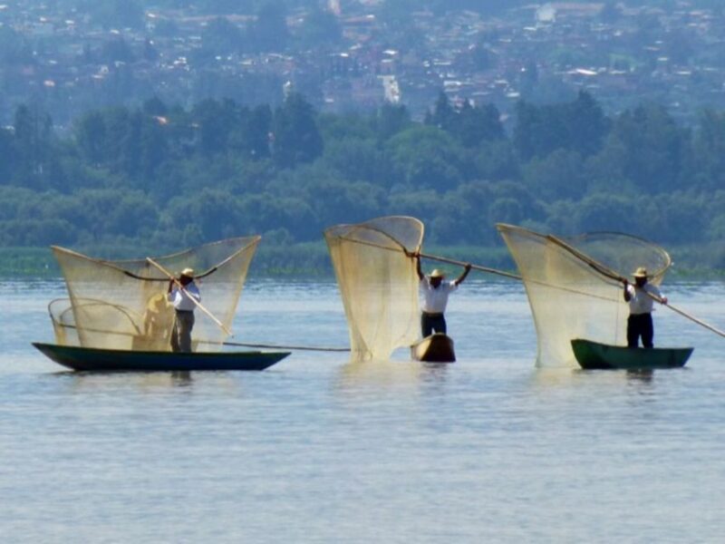 Pátzcuaro - Janitzio Tour to Watch the Butterfly Nets - Transportation and Meeting Point