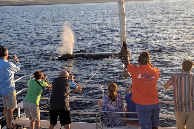 Pau Hana Sunset Cruise With the Whales - Relaxation on Benches and Trampolines