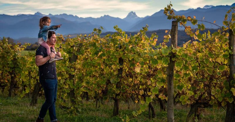 Pau - Suspicions in Jurançon - Vineyard Tour and Views