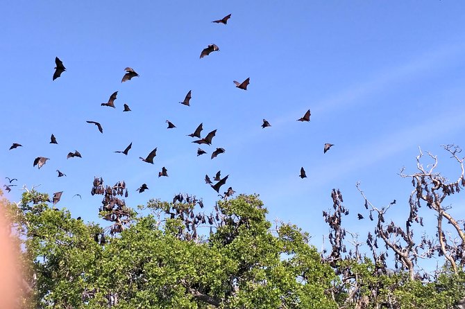 Pauls Flores Tour Labuan Bajo to Ende Flores Land Tour Inland by Car 6 Days - Inclusions