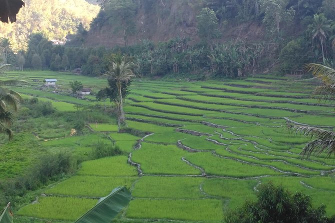 Pauls Flores Tour Labuan Bajo to Ende Flores Land Tour Inland by Car 6 Days - Meeting and Pickup