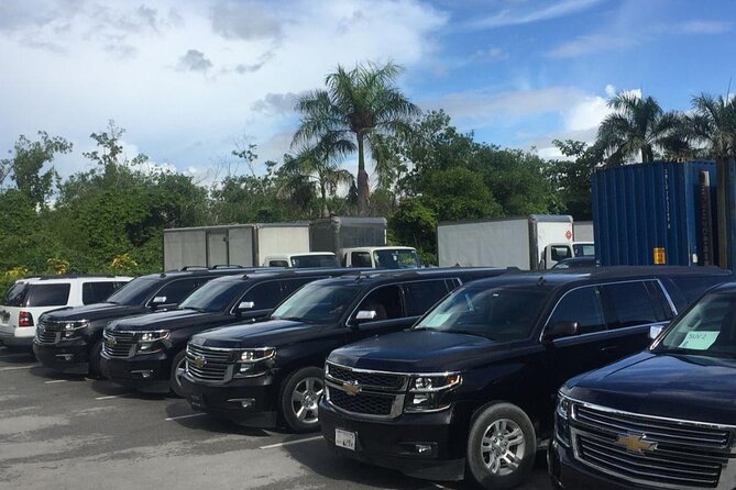 PCRT-Private Luxury-Round Trip From PUJ to Hotels in Punta Cana - Meeting and Pickup Details