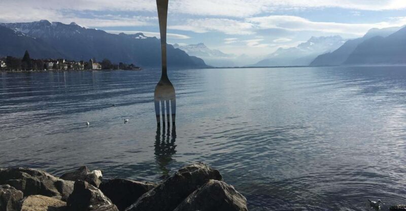 Peaceful Exploration of Vevey for Families - Château De Laile Guided Tour