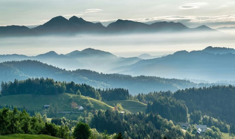 PEACEFUL HOLIDAY IN THE VALEA VÂLSANULUI-BRĂDET - Experience Highlights