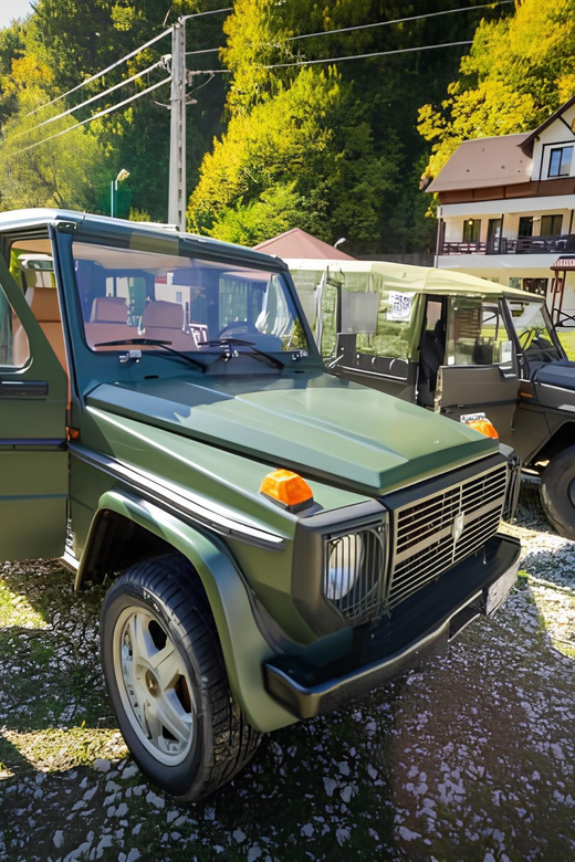 PEACEFUL HOLIDAY IN THE VALEA VÂLSANULUI-BRĂDET - Booking and Reservation