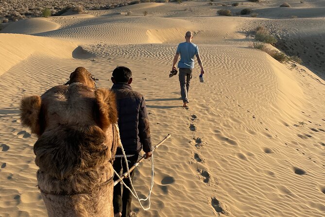 Peaceful Non -Touristic Sunset Camel Safari With Dinner - Booking Information