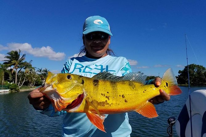 Peacock Bass Fishing Trips Near Miami Florida - Experience the Fishing Adventure