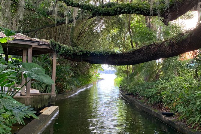 Peacocks, Presidents and Puzzles - The Winter Park Walking Tour + Boat - Magnificent Local Sites From the Boat