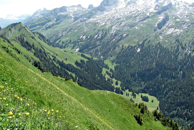 Peak to Peak Private Hiking Tour From Lucerne - Contact Information