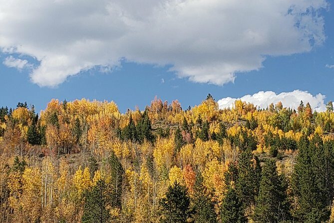 Peak to Peak Scenic Byway and Estes Park - Who Will Love This Tour?