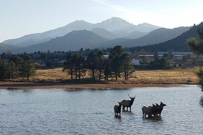 Peak to Peak Scenic Byway and Estes Park - The Sum Up: Is This Tour Worth It?