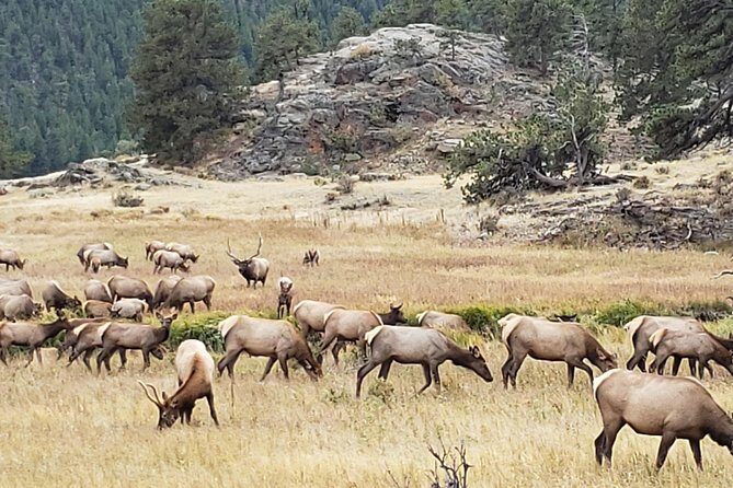 Peak to Peak Scenic Byway and Estes Park - FAQ