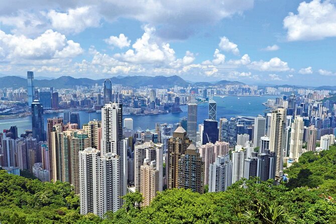 Peak Tram Ride Dim Sum Tasting and Hong Kong City Guided Tour - Positive Traveler Feedback