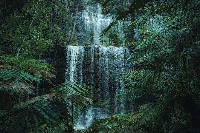 Peaks, Falls & Furry Locals: Mt. Field & the Derwent - Key Points