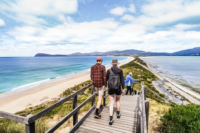 Peaks, Falls & Furry Locals: Mt. Field & the Derwent - Transportation & Group Size