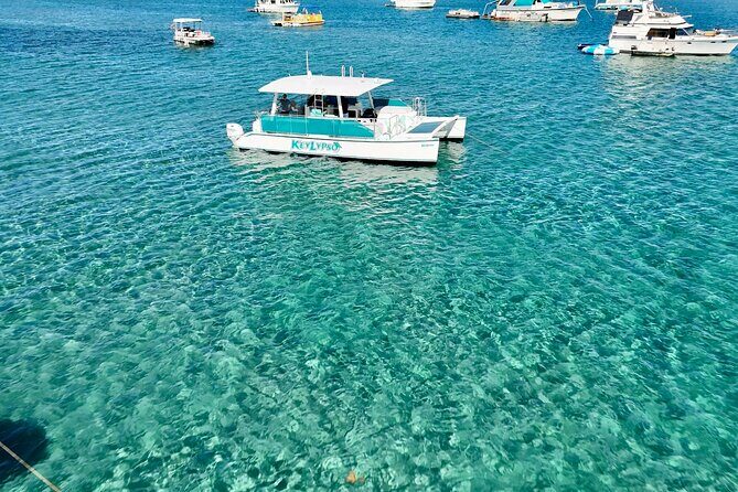 Peanut Island Sandbar and Swim Tour - The Value of This Experience