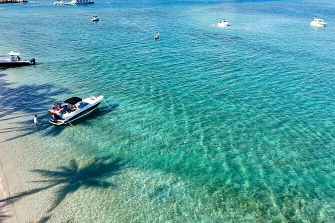 Peanut Island Sandbar and Swim Tour - Practicalities and Tips for Enjoying the Tour