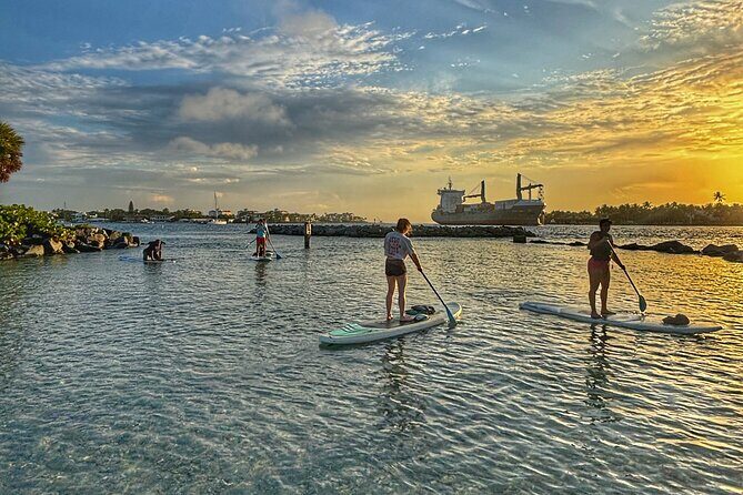 Peanut Island Sunrise Paddle Boarding Adventure - What Is the Peanut Island Sunrise Paddle Boarding Adventure?