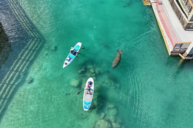 Peanut Island Sunrise Paddle Boarding Adventure - Why Paddle at Sunrise?