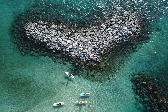 Peanut Island Sunrise Paddle Boarding Adventure - What Makes This Tour Stand Out?