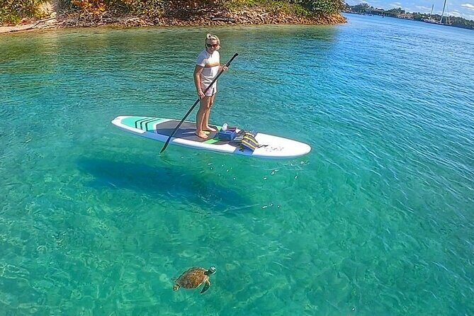 Peanut Island Sunrise Paddle Boarding Adventure - Practical Details