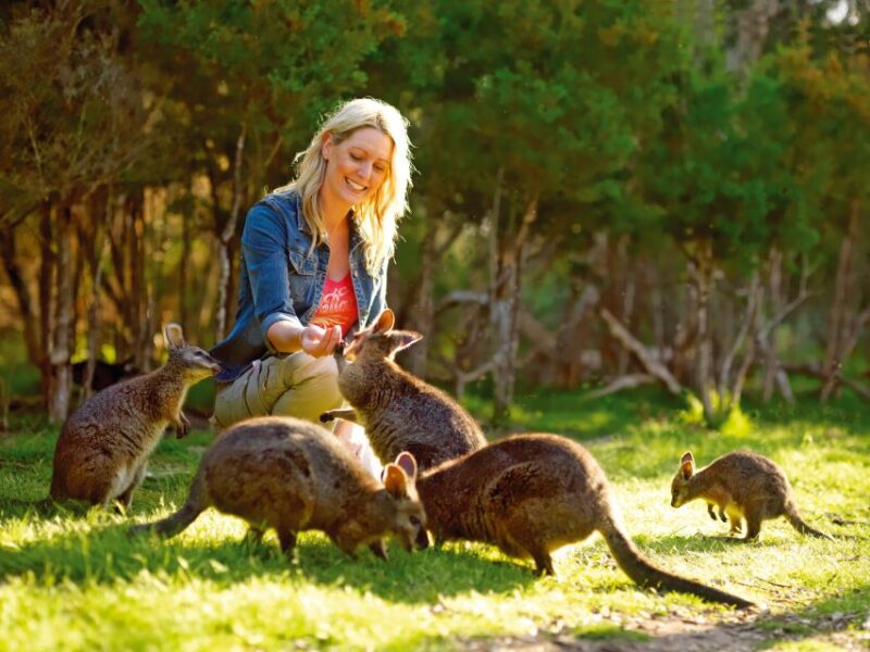 Pearcedale: Moonlit Sanctuary Conservation Park Entry Ticket - Visitor Guidelines and Information