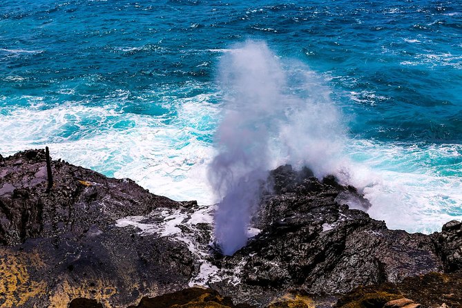 Pearl Harbor and Scenic Oahu Private Tour - Pickup Information