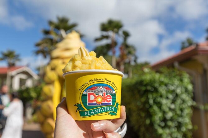 Pearl Harbor + Dole Plantation + Polynesian Center From Kauai - Pearl Harbor Experience
