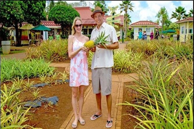 Pearl Harbor + Dole Plantation + Polynesian Cultural Center From Maui - Dole Plantation Visit