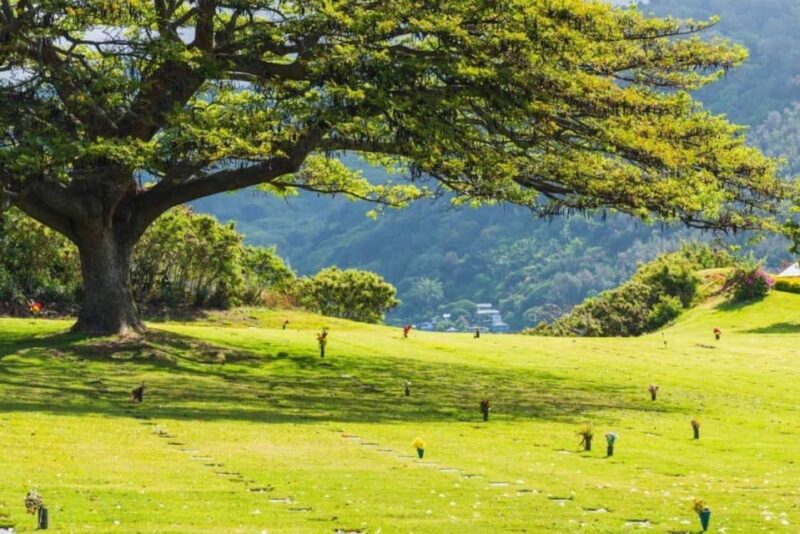 Pearl Harbor Oahu Circle Island Tour - What to Bring & Restrictions
