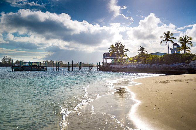 Pearl Island Bahamas Snorkeling Experience and Lunch - Reviews and Feedback