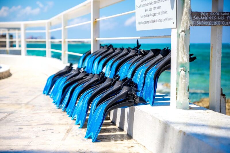 Pearl Island Beach: Full-Day Snorkelling With Lunch - Key Points