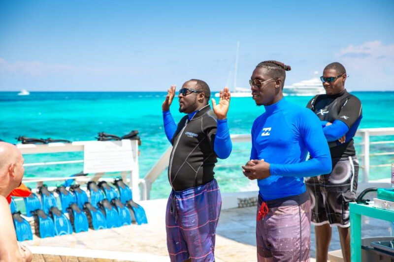 Pearl Island Beach: Full-Day Snorkelling With Lunch - Important Information