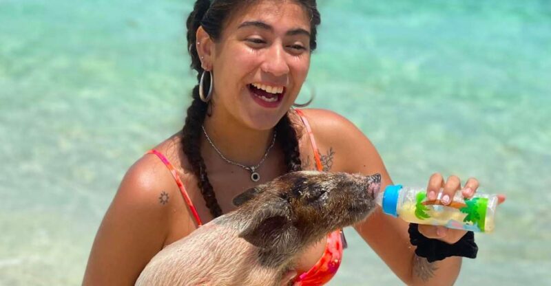 Pearl Island: Pigs Beach With Lunch - Itinerary Highlights