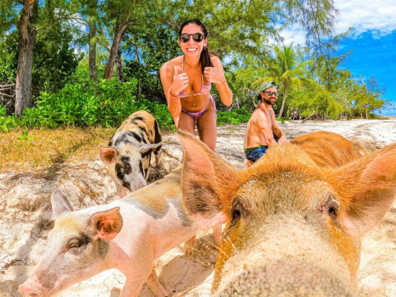 Pearl Island: Pigs Beach With Lunch - Participant Information