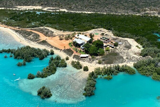 Pearls & Coast: 35-Min Heli Flight, Willie Creek Tour & Lunch - Authentic Perspectives from Travelers