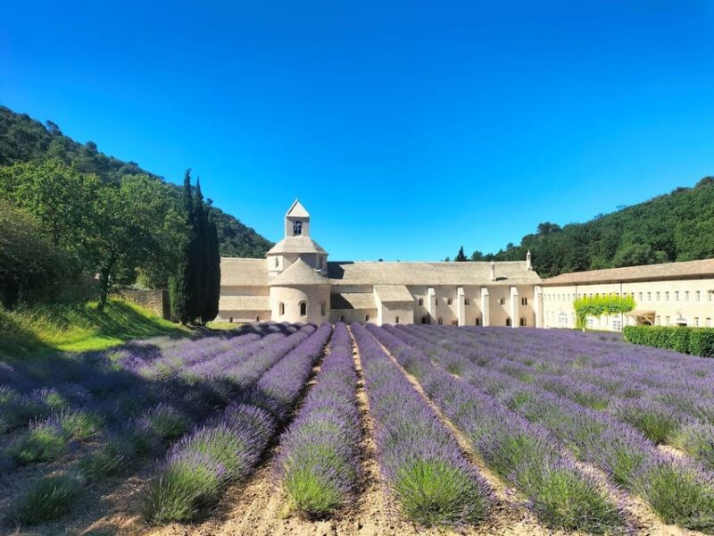 Pearls of Luberon: Gordes, Rousillon & Senanque Private Trip - Itinerary Highlights