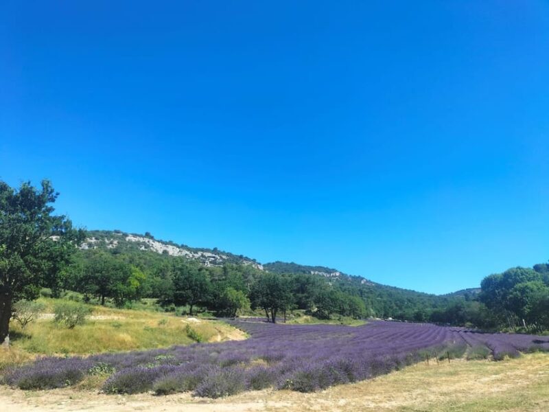 Pearls of Luberon: Gordes, Rousillon & Senanque Private Trip - Discovering Rousillon