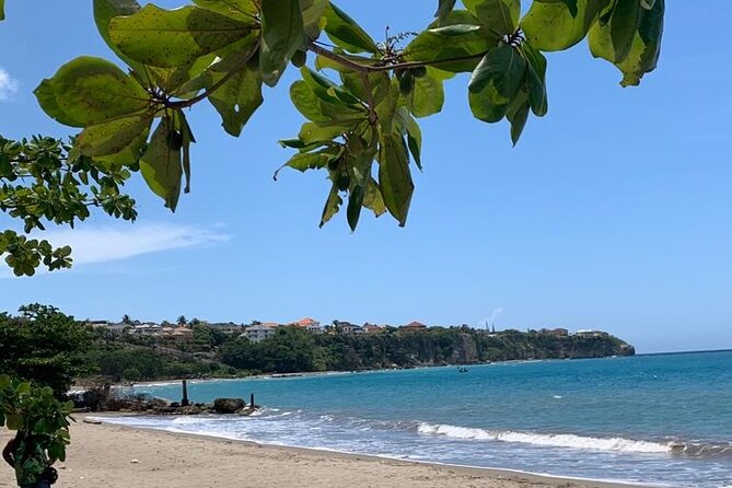 Peats Private Rustic Beach From Ocho Rios - Tour Schedule and Pricing